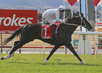 Newitt’s Hobart blitz: Sanniya, Swift Force and Bank Maur shine