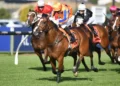 NZ Trial Watcher: Ellerslie preview