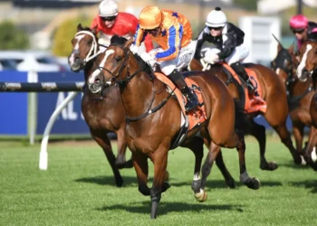 NZ Trial Watcher: Ellerslie preview
