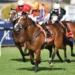 NZ Trial Watcher: Ellerslie preview