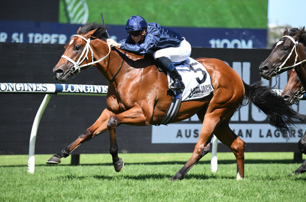 Dean Watling thinks a daughter of Home Affairs can take out this year's Golden Slipper