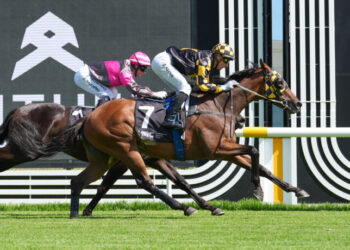 Good Will Hunting: Elford targets Geelong