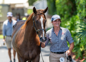 Cox Plate champ doing wonders in sales ring