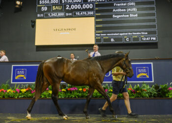 From poor barriers to a $2 million pay day: Camilleri’s Magic Millions rollercoaster