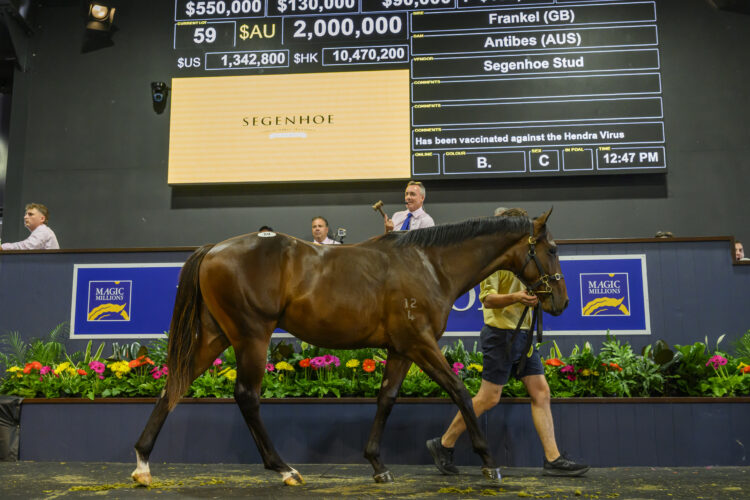 Owner-breeder John Camilleri sold lot 59, a Frankel colt, for $2 million