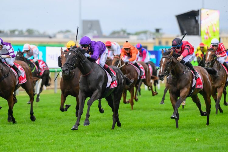 The Magic Millions Guineas was packed with controversy