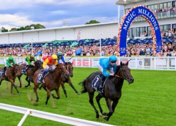 The ultimate mug’s guide to the Magic Millions carnival