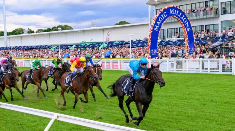 O'Ole is looking for a Magic Millions double