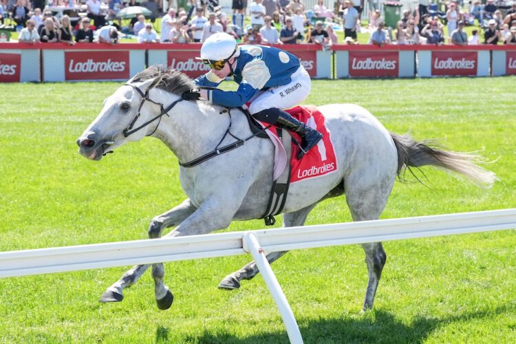 Will Elford thinks Saint George can make it back to back wins.