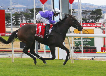 Newitt’s Hobart blitz: Sanniya, Swift Force and Bank Maur shine