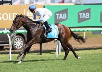 Road to the Millions: Maroons call the shots at the Gold Coast