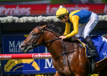 In The Lab: The top 5 Magic Millions performances since 2012