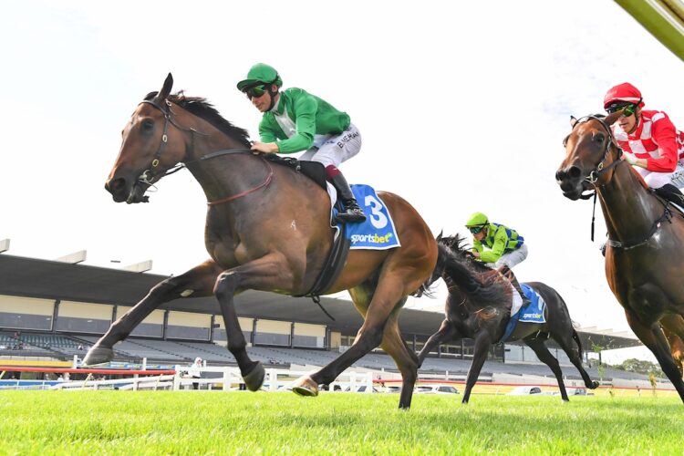 Trapper John (NZ) ridden by Ben Melham wins the Sportsbet Fast Form Plate at Sportsbet Sandown Hillside Racecourse on January 28, 2026 in Springvale, Australia. (Photo by Pat Scala/Racing Photos)