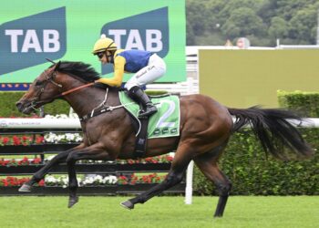 ‘My vet and I were happy with him’: Warwoven scratched from Millions