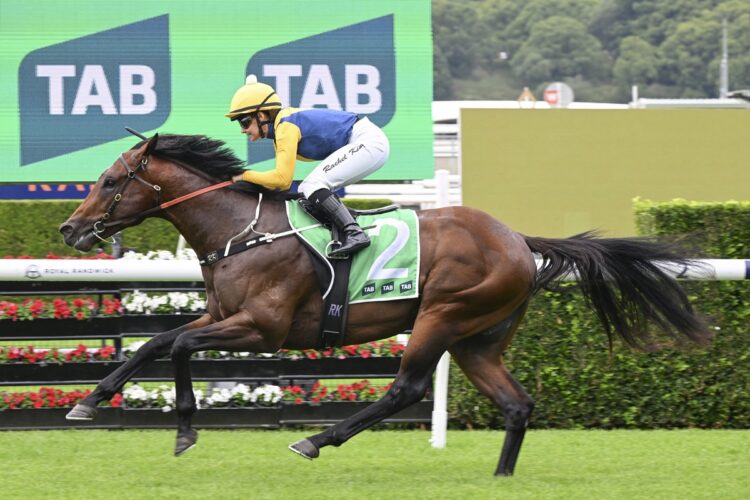 Vets have made a call on favourite Warwoven ahead of the Magic Millions 2yo Classic