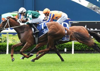 NZ Trial Watcher: Karaka Millions Preview