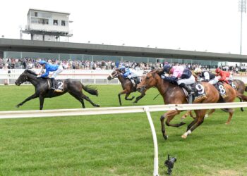 Coleman reckons their $15 Geelong Diamond runner is over the odds