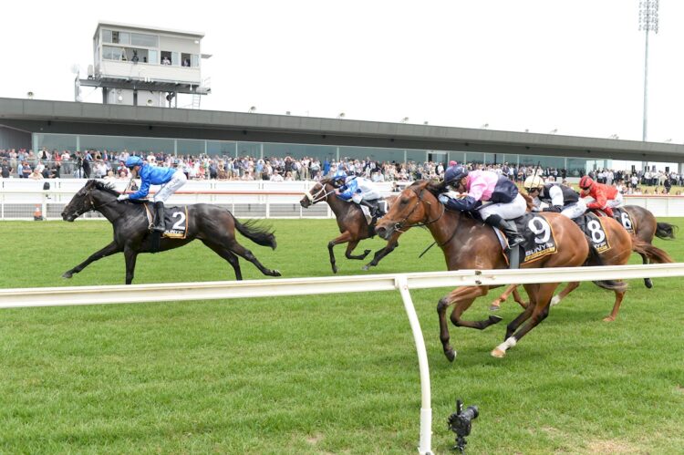 Fine Sierra finishes third at Sportsbet Pakenham on December 13, 2025 in Pakenham, Australia. (Photo by Brett Holburt/Racing Photos) B