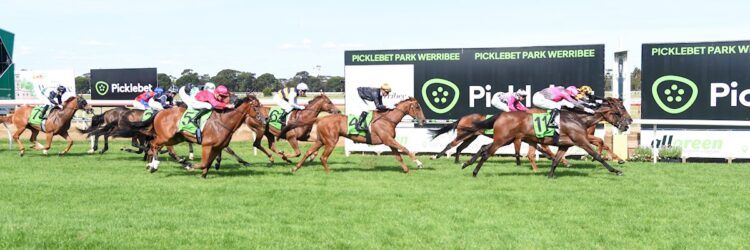 Holymanz (NZ) ridden by Ben Allen dead-heats with Precious Charm ridden by Harry Coffey in the Picklebet Werribee Cup at Werribee Racecourse on December 07, 2025 in Werribee, Australia. (Photo by Brett Holburt/Racing Photos)