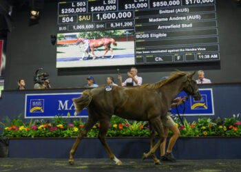 The Snitzel farewell tour: from $1.6M fillies to $65k gems
