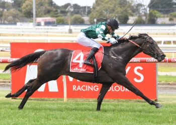 McEvoys confirm Diamond path for filly