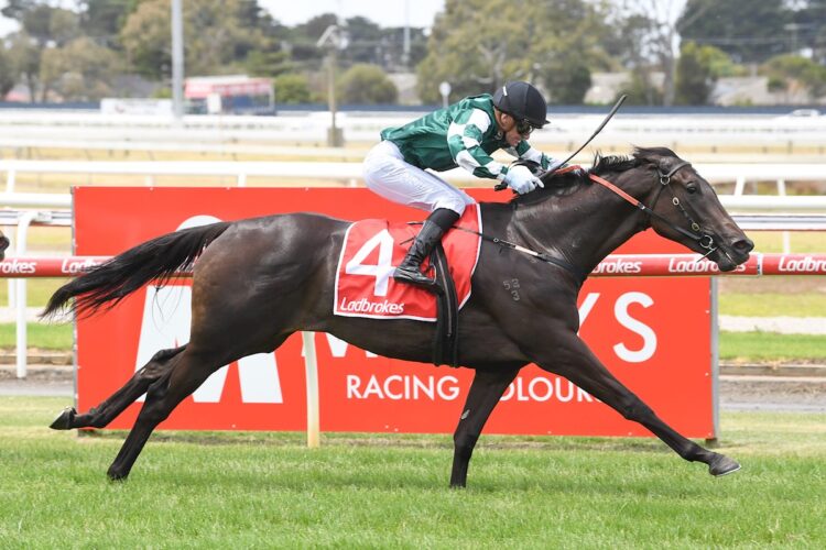 Moana Spirit ridden by Luke Currie wins the Geelong Diamond at Geelong Racecourse on January 03, 2026 in Geelong, Australia. (Brett Holburt/Racing Photos)