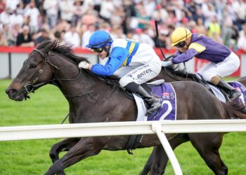 Jigsaw set for NZ Group 1 tilt