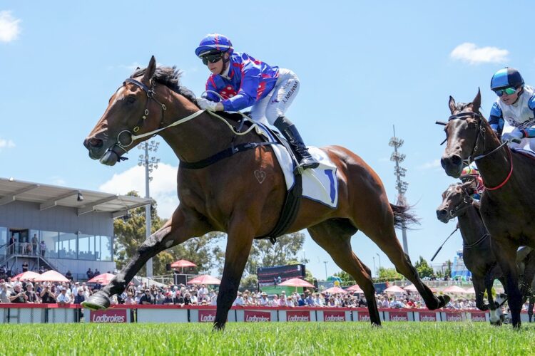 Guest House ridden by Jamie Melham wins the Clamms Seafood Handicap at Cranbourne Racecourse on December 27, 2025 in Cranbourne, Australia. (Photo by George Sal/Racing Photos)