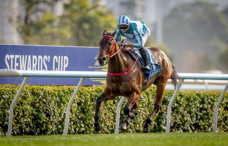 Romantic Warrior ridden by James McDonald wins the Stewards Cup at Sha Tin Racecourse in Sha Tin, Hong Kong, China on January 25, 2026. Photo By: Alex Evers/ HKJC