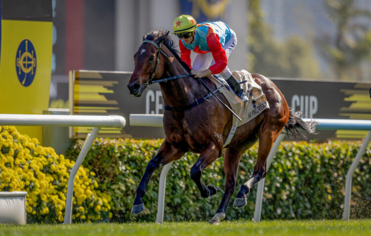 KA YING RISING ridden by Z Purton wins the Centenary Sprint completing 17 consecutive wins at Sha Tin Racecourse in Sha Tin, Hong Kong, China on January 25, 2026. Photo By: Alex Evers/ HKJC