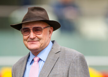 ‘Crying out for blinkers’: Hayes makes key call for Public Attention