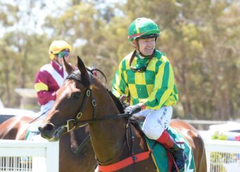 From car crash to riding winners