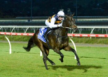 Progressive mare to stay in NZ for Group 1