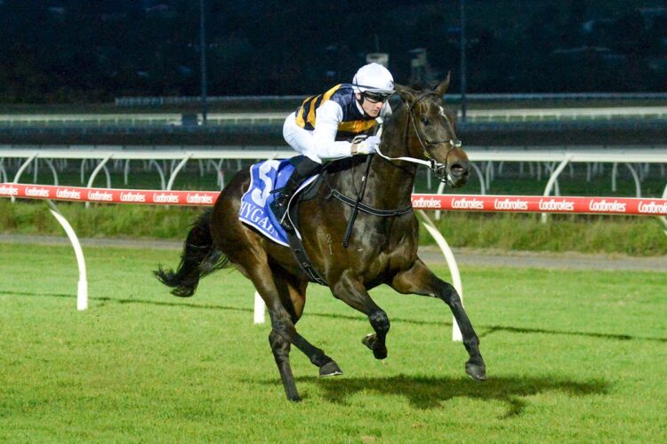 Knobelas (NZ) ridden by Beau Mertens wins the Browns Fertilisers BM70 Handicap at Sportsbet Pakenham on November 28, 2025 in Pakenham, Australia. (Photo by Ross Holburt/Racing Photos)