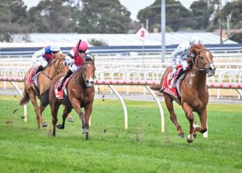 Stablehand suspended for striking horse