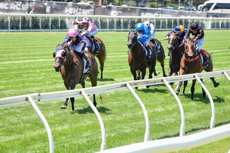 Suntora ridden by Jackson Radley wins the Vale Durston at Caulfield Racecourse on January 24, 2026 in Caulfield, Australia. (Photo by Reg Ryan/Racing Photos)