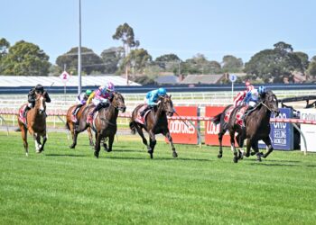 ‘This has been a calamity’ – chaos at Geelong amid false start drama