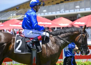 Munce magic: father-son team eyes Classic glory