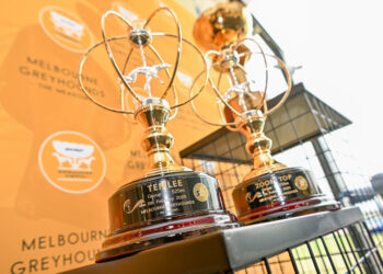 Cup Carnival Kicks Off: Farrugia’s Meadows Plays