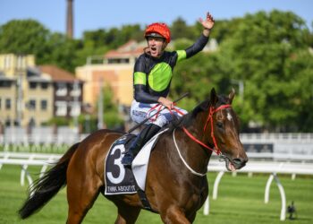 Champion sprinter and Everest winner, Think About It, has died