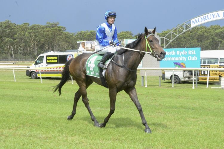 Vermicella (Bradley Photos)