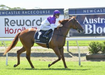 Dean Watling’s Provincial Championship Qualifier preview: Buffalo the horse to beat