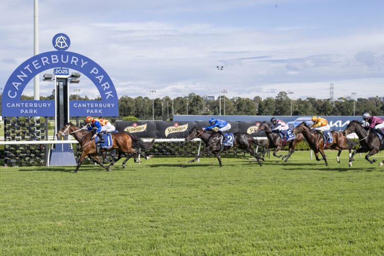 Autumn Boy was a standout at the trials.