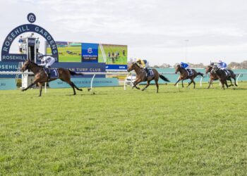 Dean Watling’s NSW Trial Review