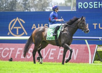 Dean Watling’s Port Macquarie Qualifier Day Preview