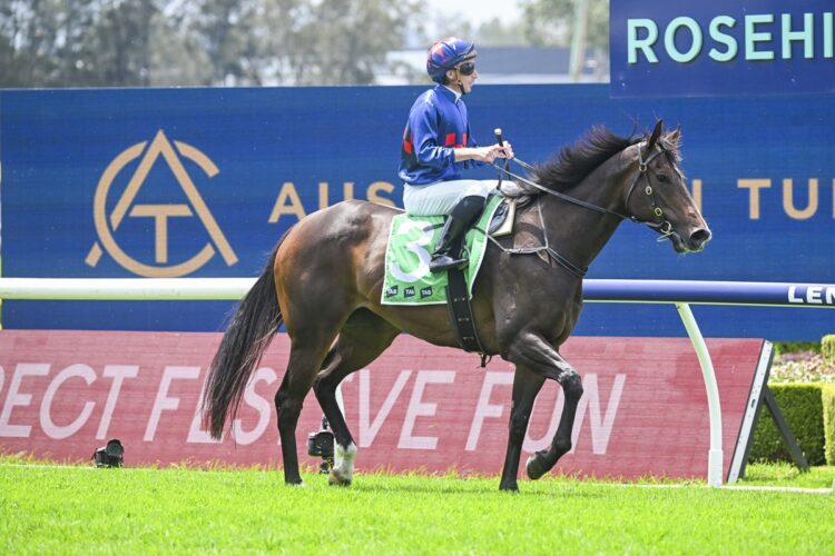 Lunaite trained by Paul Snowden. (Bradley Photos)