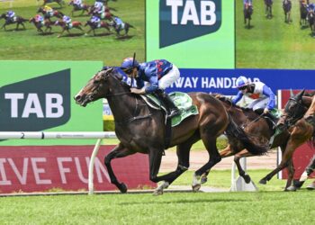 From barrier rogue to Championships hope: Lunaite’s redemption run for Paul Snowden