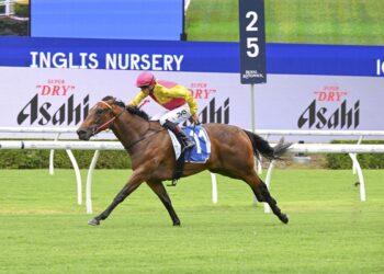 $1250 buy to $2 Million shot: ‘This is our Golden Slipper’