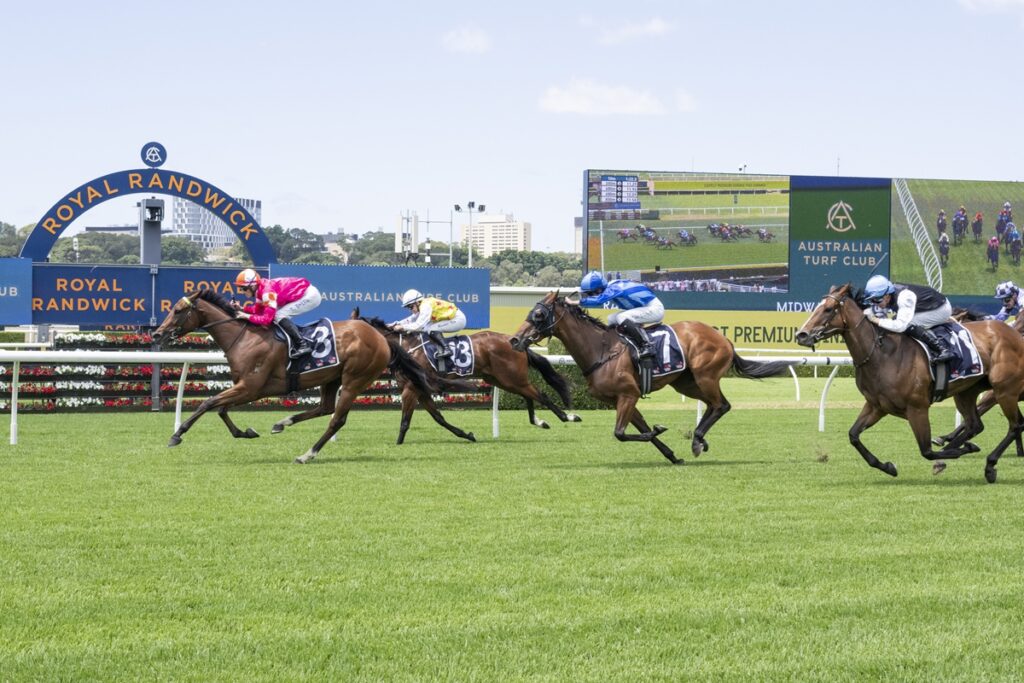 Dean Watling’s Hawkesbury preview