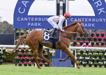 Just In Time [Bradley Photos]